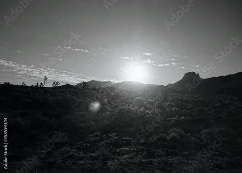 Sunrise in the Desert