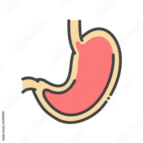 Stomach line color icon. Human organ concept. Sign for web page, mobile app, button, logo. Vector isolated element. Editable stroke