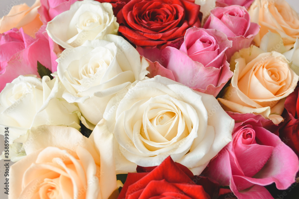 Roses background with red, white, orange and pink flowers In pastel colours Roses background with red, white, orange and pink flowers In pastel colours