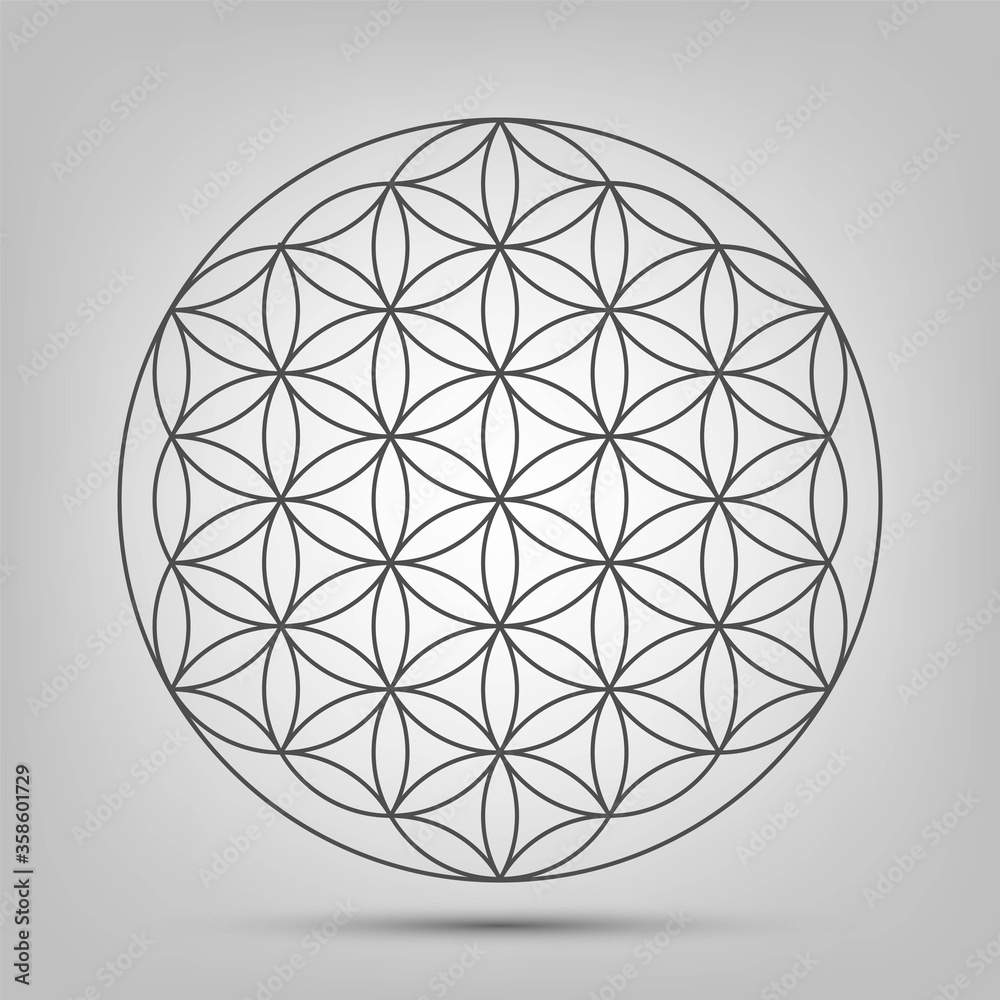 Sign of the Flower of Life on a white background, a symbol of Eastern philosophy and harmony Sign of the Flower of Life on a white background, a symbol of Eastern philosophy and harmony
