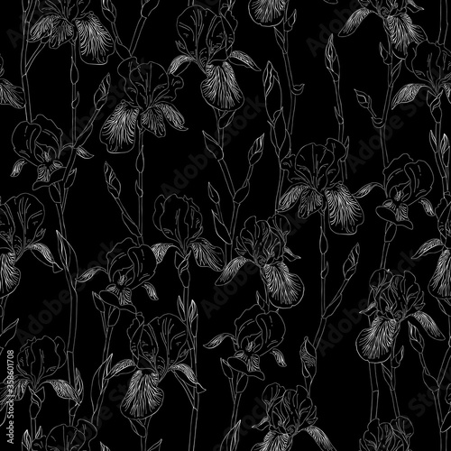 Ink, pencil, black and white iris flowers seamless pattern. Black background. Hand drawn nature painting. Freehand sketching illustration.