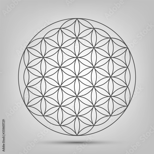 Sign of the Flower of Life on a white background, a symbol of Eastern philosophy and harmony