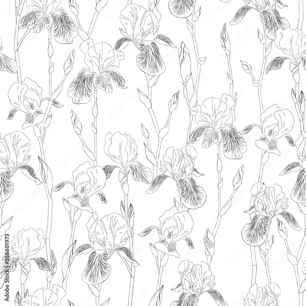 Fototapeta premium Ink, pencil, black and white iris flowers seamless pattern. Hand drawn nature painting. Freehand sketching illustration.