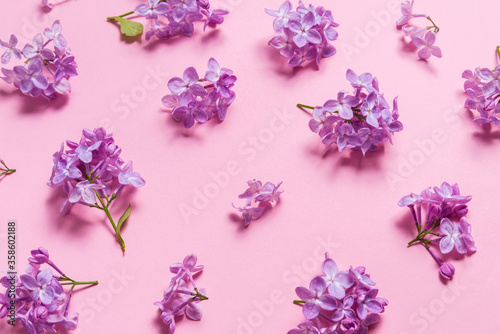 Fresh natural lilac flowers on pink background