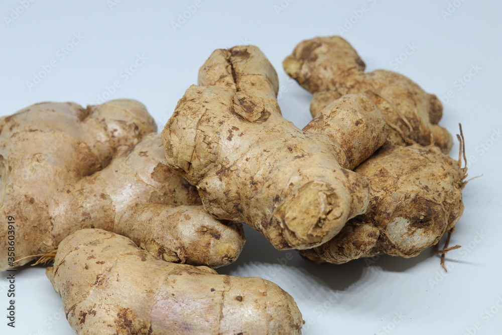 fresh ginger isolated on white background fresh ginger isolated on white background