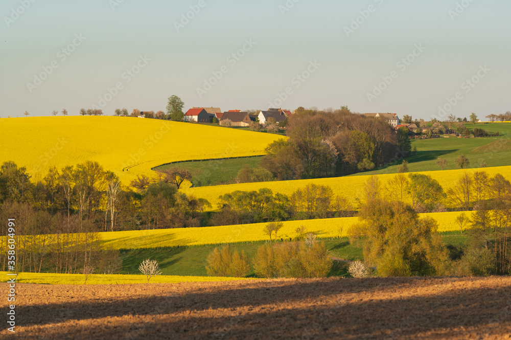 Obraz premium Rapsfelder und Blick auf das Dorf. Deutschland.
