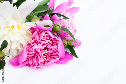 Fototapeta Naklejka Na Ścianę i Meble -  White and pink peonies and buds on a white background. Bouquet of fresh flowers
