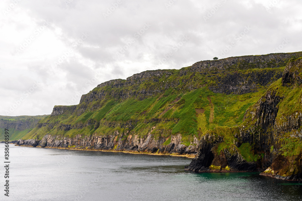 Nature of Carrick-a-Rede, Causeway Coast Route, National Trust. Northern Ireland
