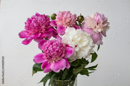 bouquet of pink and white peonies flowers blooming