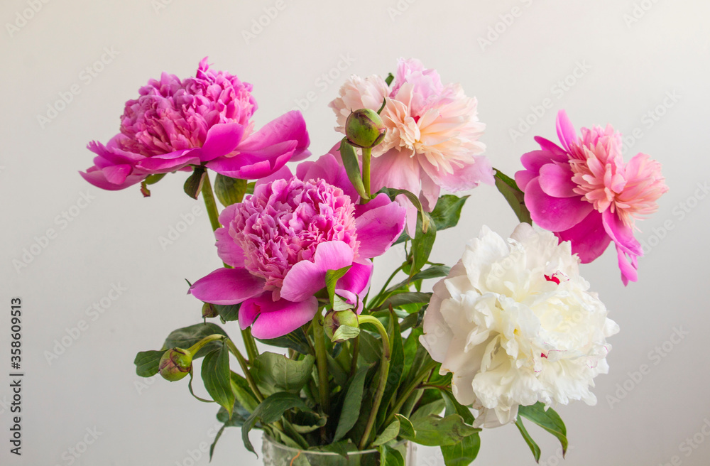 bouquet of pink and white peonies blooming