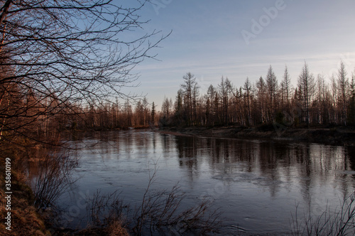 Birch trees without leaves in early spring. Small river flow across forest with light in sundown lights. March