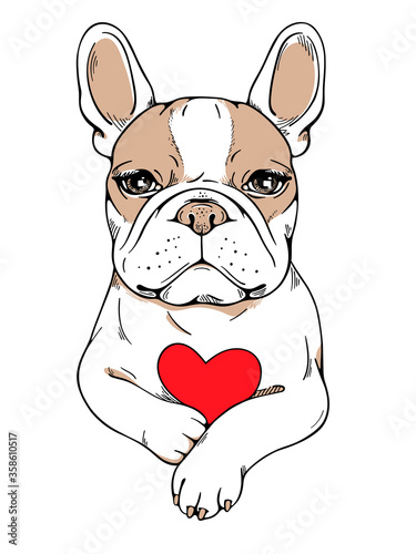 Cute cartoon  french bulldog with red heart. Image for Valentines day. 