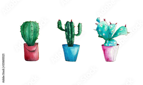 watercolor set of potted catuses