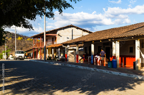 Trees of guayacán