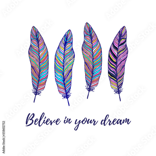 Vector Set of Ethnic feather. Hand Drawn Tribal Feathers. Decorative feathers. Vintage colored Feather.