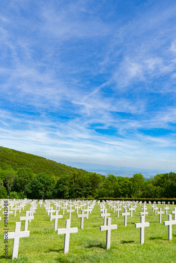 Campo de cruces en lo alto de una colina en un día soleado