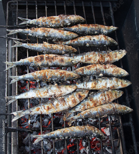 Grilled sardines on the grill, traditional flavors, healthy food.