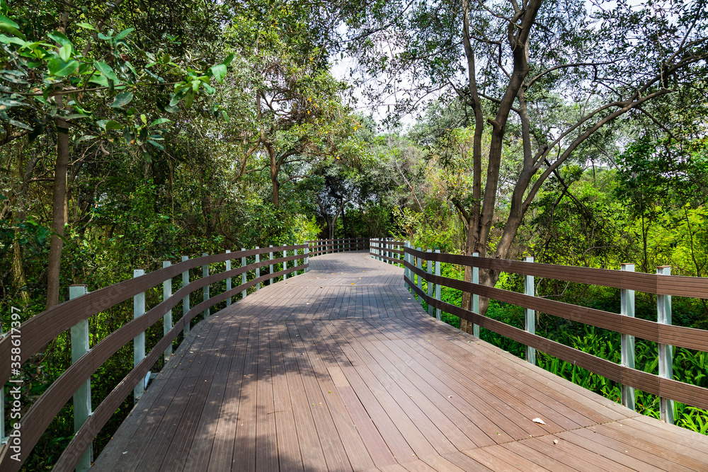 Elevated wooden path