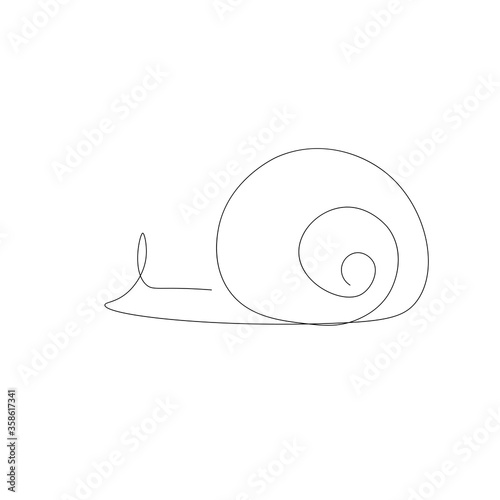 snail on white background  vector illustration 