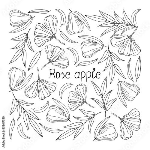 Wallpaper Mural Rose apple lettering. Hand drawn poster.  Stock vector illustration. Torontodigital.ca