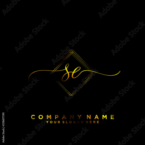 SE Initial handwriting logo vector	
