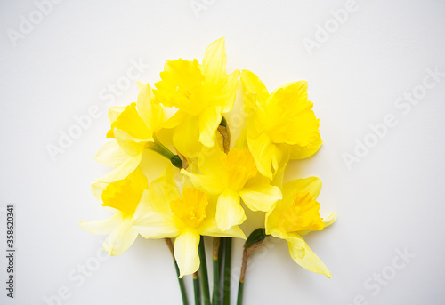 Yellow bouquet of daffodils lying on white table © Artsaba Family