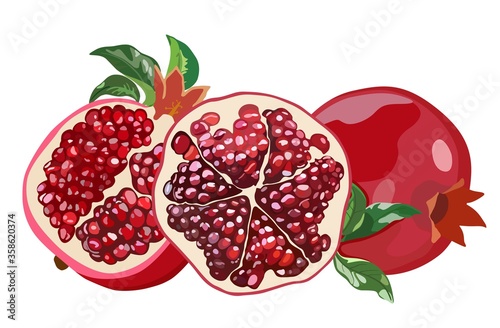 Pomegranate with leaves. Whole fruit and halves. Vector illustration