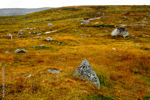 Hardangervidda National Park, Norway photo