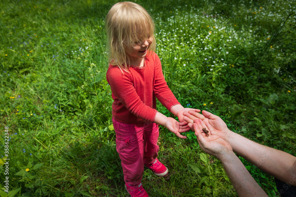 little girl looking at and exploring lizard in nature little girl looking at and exploring lizard in nature
