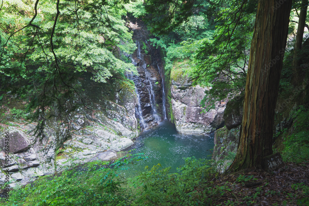 初夏の滝