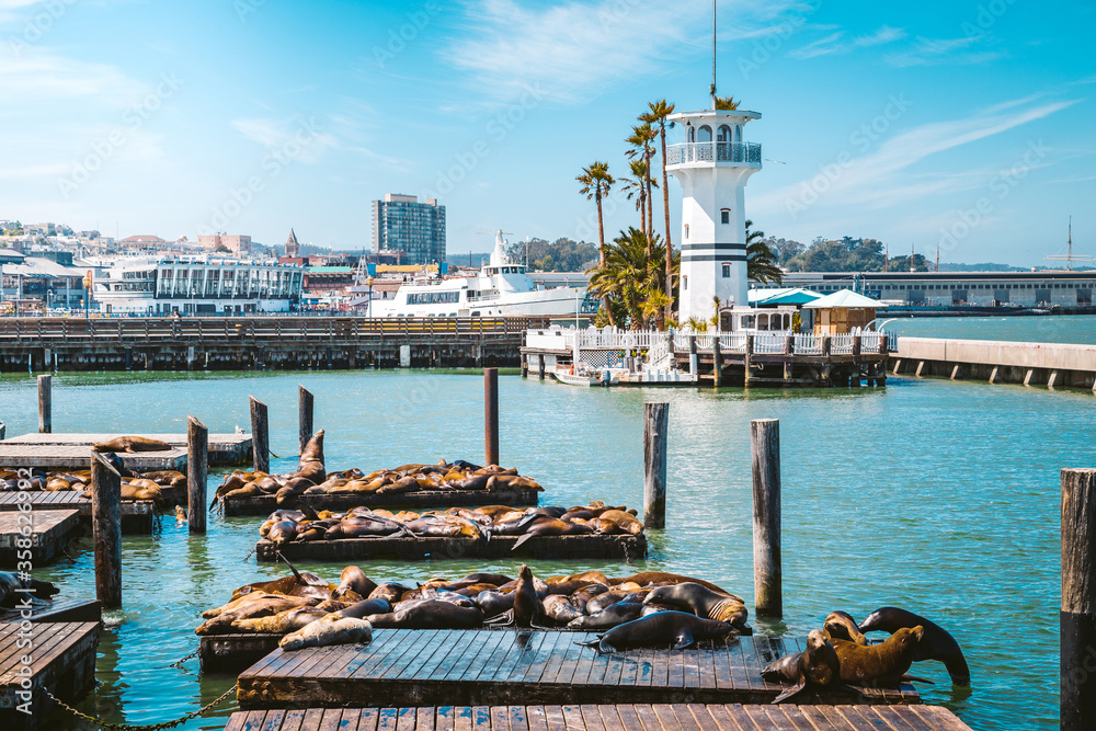 San Francisco Fisherman's Wharf with Pier 39 with sea lions