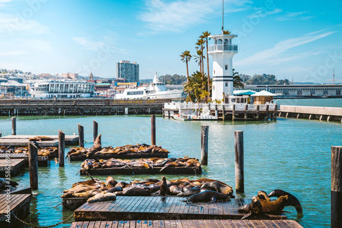 San Francisco Fisherman's Wharf with Pier 39 with sea lions, California, USA