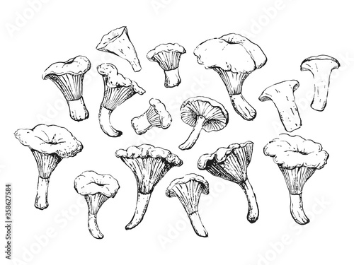 old vintage chanterelle retro sketch set