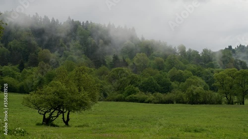 Outstanding panoramic view of Carpathian forest and mountains Bieszczady Poland.