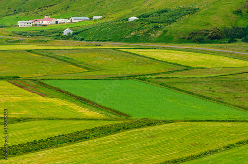 Agriculture fields in front of Icelandic farm