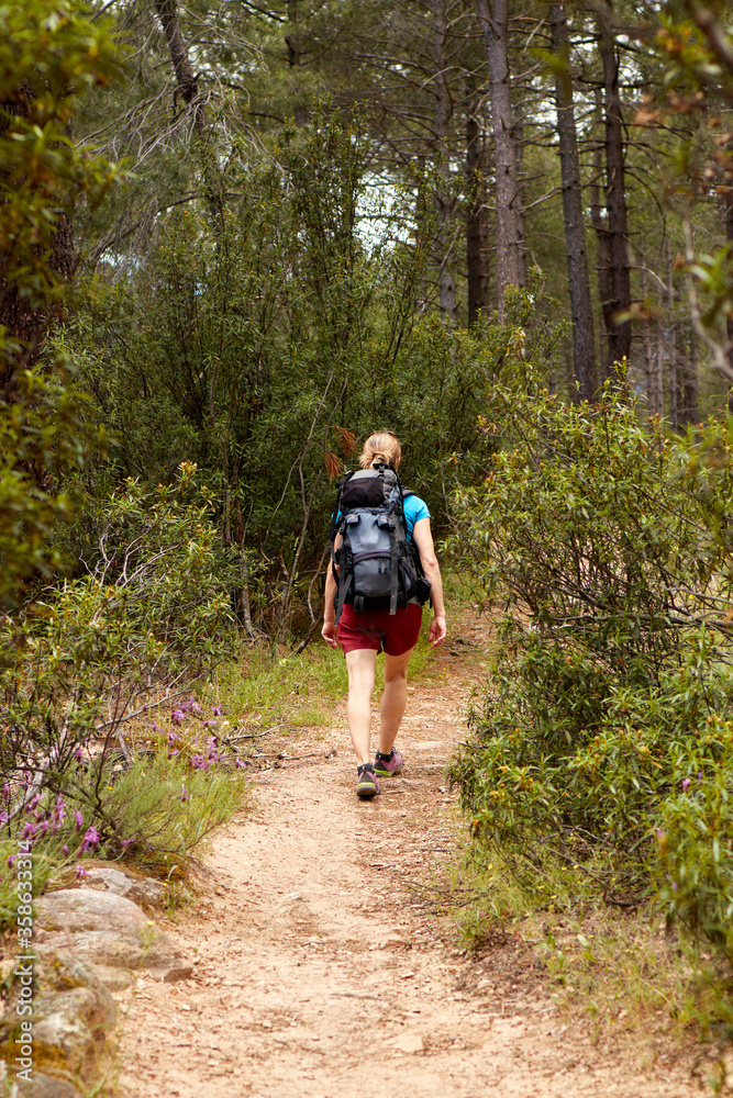 Woman with a backpack walking alone in the forest, hiking. Concept of freedom