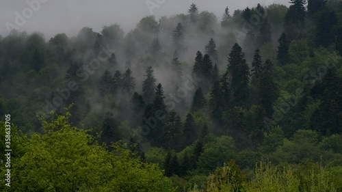 Outstanding panoramic view of Carpathian forest and mountains Bieszczady Poland.