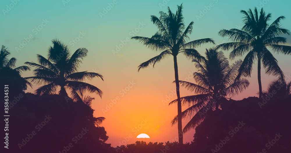 Tropical sunset through the palm trees. 