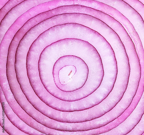 Violet onion slice as a background, top view. Sliced red onion rings.
