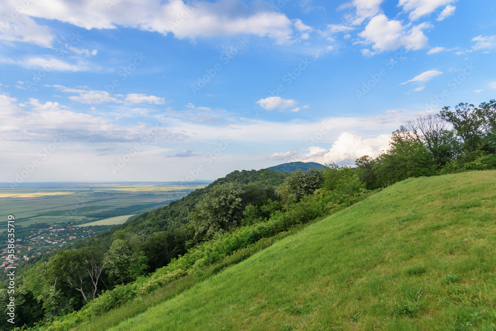 View from the top of the Vršac hill. Landscape of forest and fields in Vojvodina. View from the top of the Vršac hill. Landscape of forest and fields in Vojvodina.