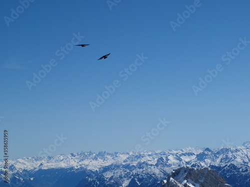 Bergpanorama mit Vögeln