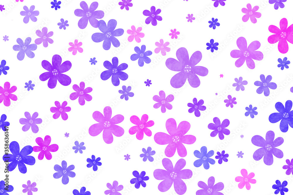 Isolated flower background, colorful flower pattern wallpaper with white background