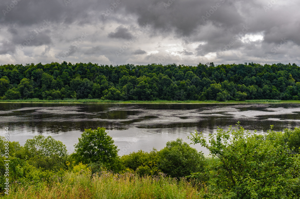 Fototapeta premium River Volkhov, and green nature, Russia