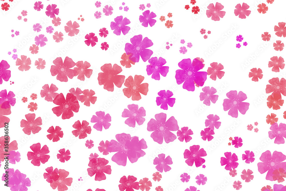 Isolated flower background, colorful flower pattern wallpaper with white background Isolated flower background, colorful flower pattern wallpaper with white background