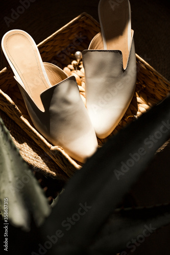 fashion photos for the blog, beige shoes with a beautiful decor, aloe leaves and wicker basket earrings, comfortable leather casual summer shoes without heels lie in the sunlight