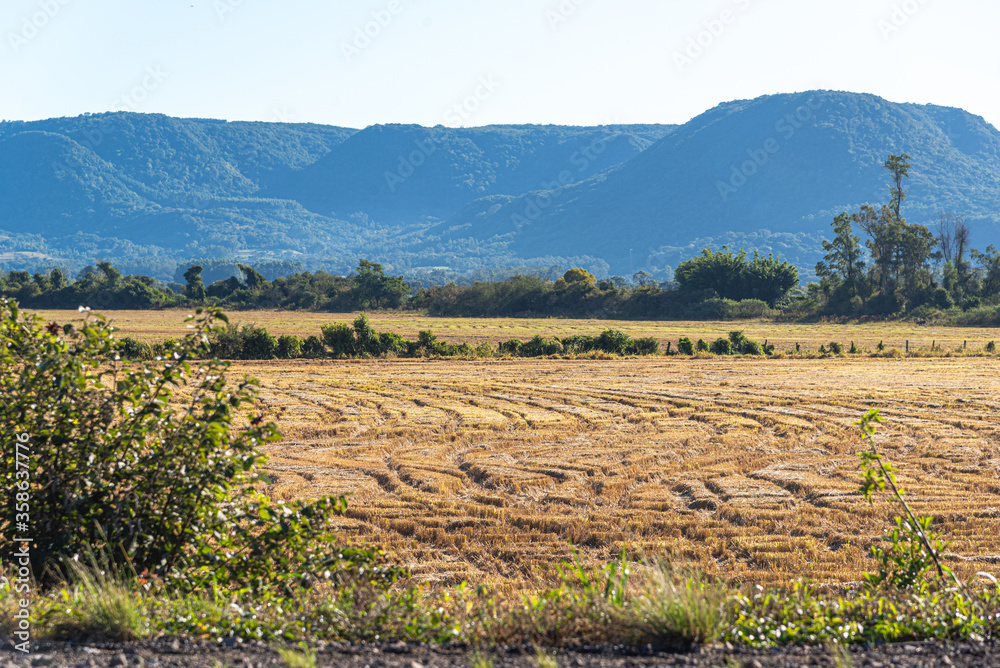 Rural landscape of rice fields and mountains in the mountains of Brazil