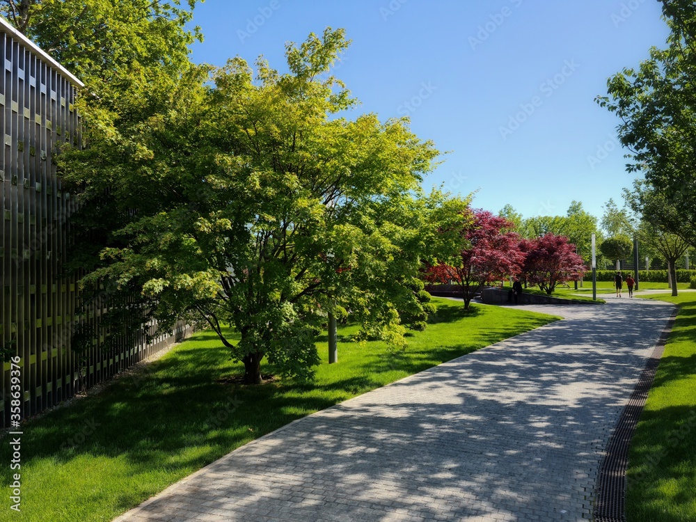 alley in the Park of the Galician Krasnodar