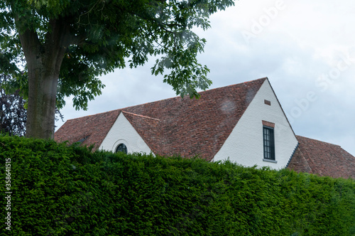 House between the trees 