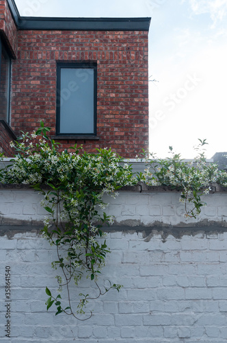 brick wall and window in the city
