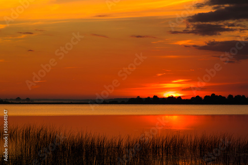 Summer lake at dawn  nature background.